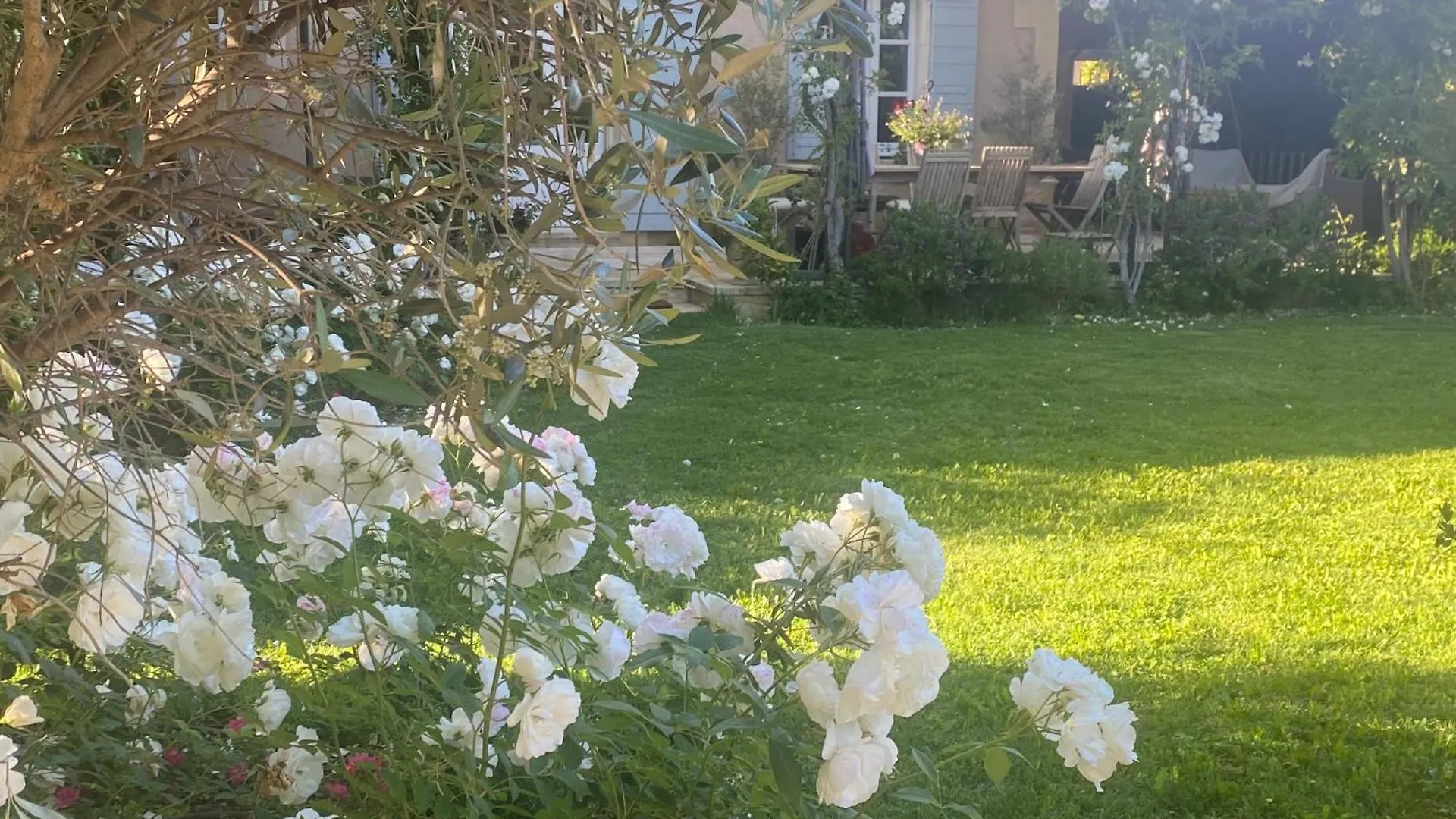Bed & Breakfast La Paradoune 3